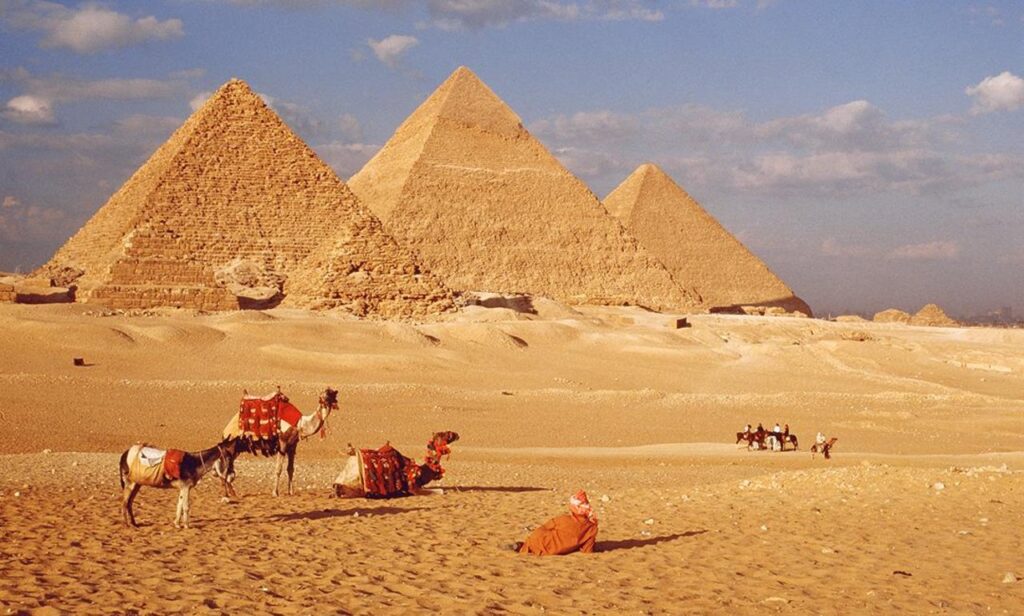 Camels and pyramids