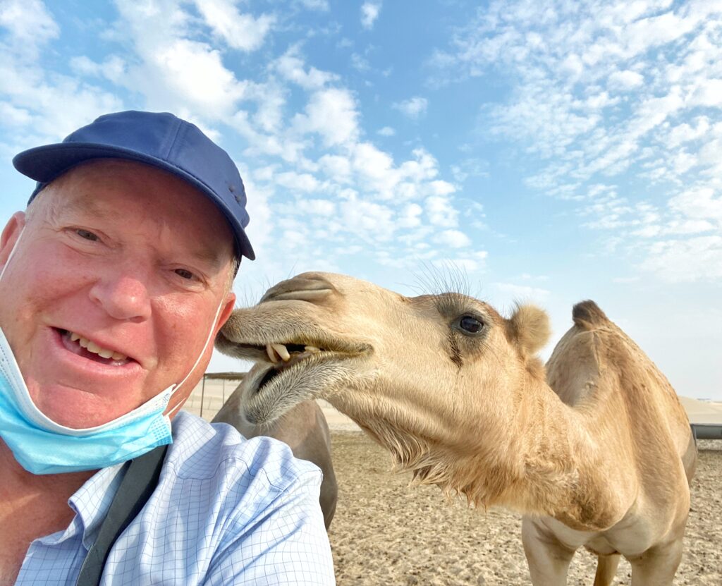 Camel and tourist