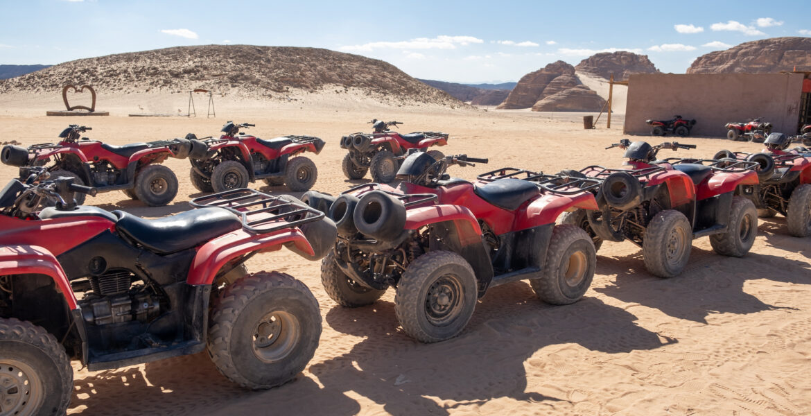A group of safari vehicles