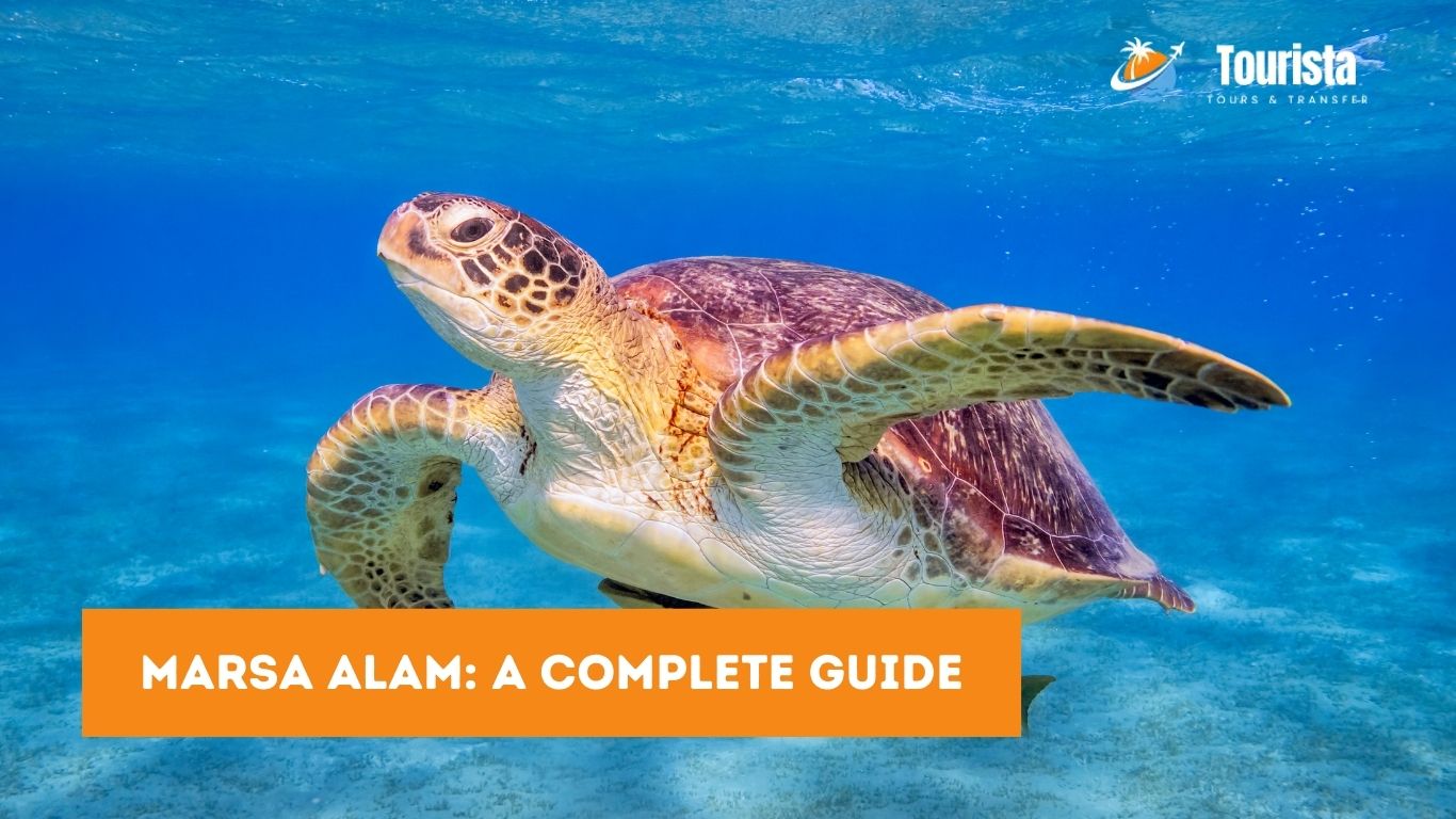 Marsa Alam Complete Guide