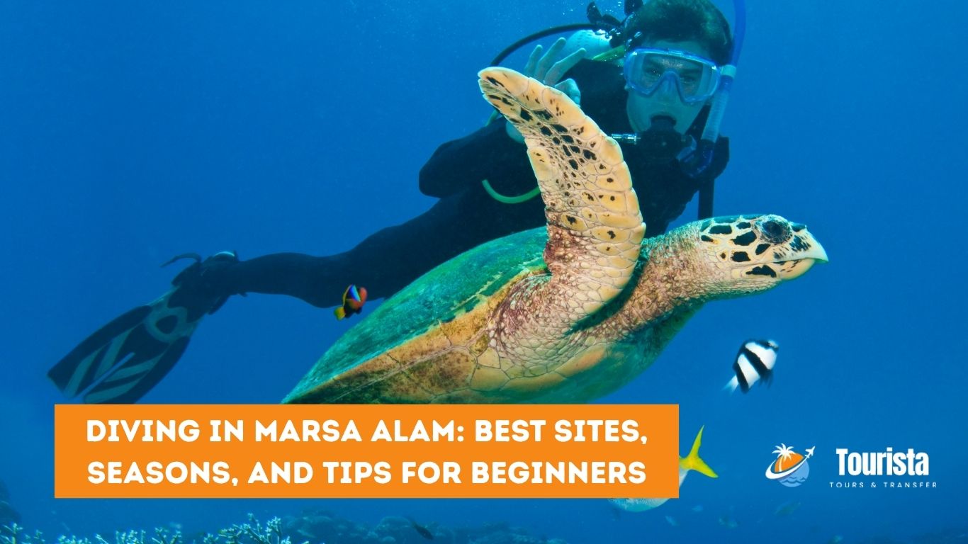 Diving in Marsa Alam 2025 | Best Dive Sites, Seasons & Tips
