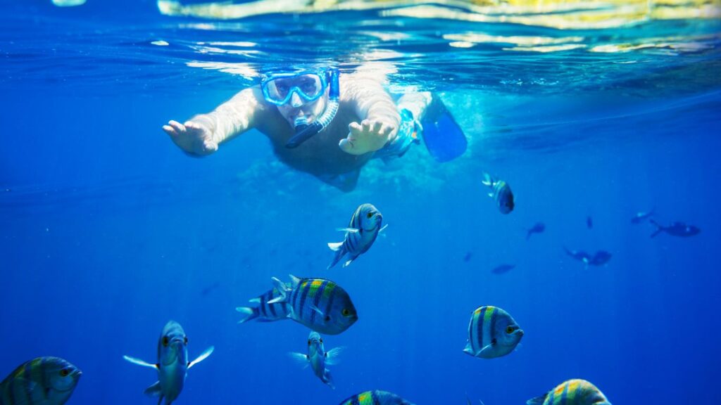 Snorkellers kids and first timers