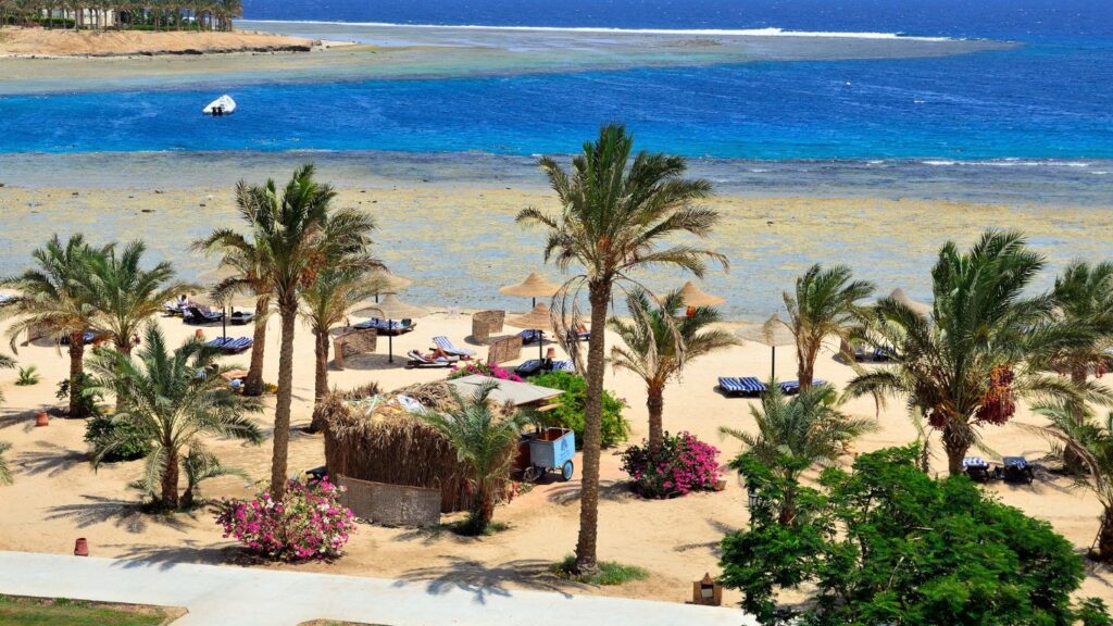 the best time to visit Marsa Alam