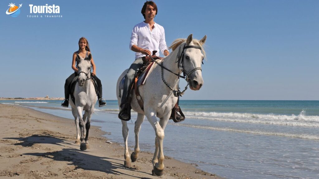 Horseback Riding on the Beach