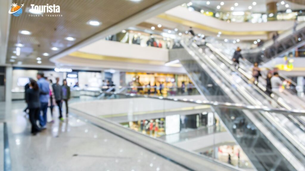 Practical Tips for Visiting