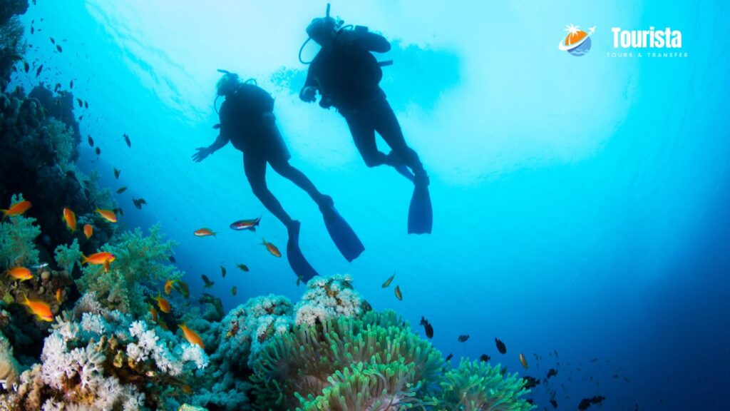 Scuba Diving for Two
