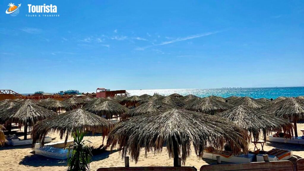 What to Expect on Paradise Island